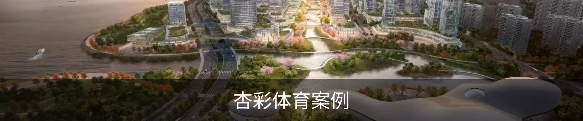 杏彩体育案例
